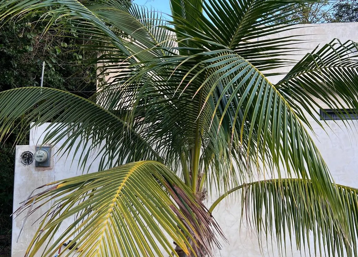 Sotik Tulum House Villa