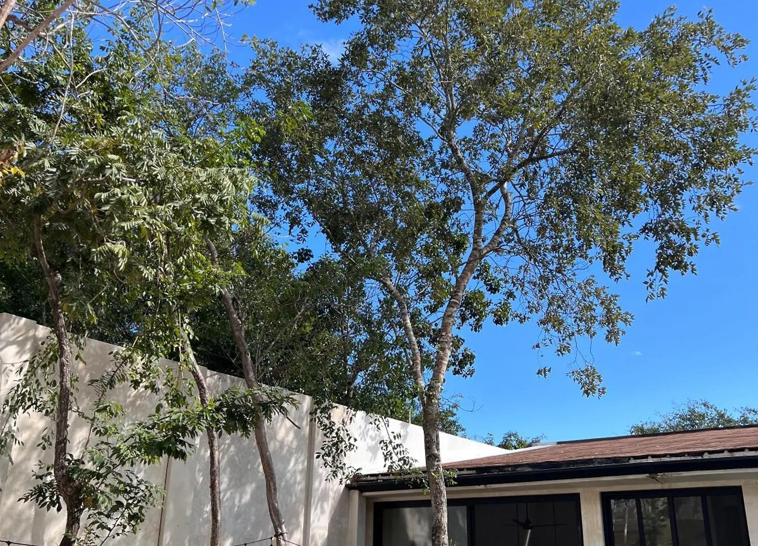 别墅 Sotik Tulum House别墅 墨西哥